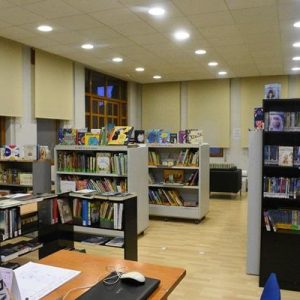 biblioteca_vianabiblioteca (3)